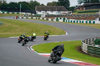 Lower Group Silver_Grey Bikes
